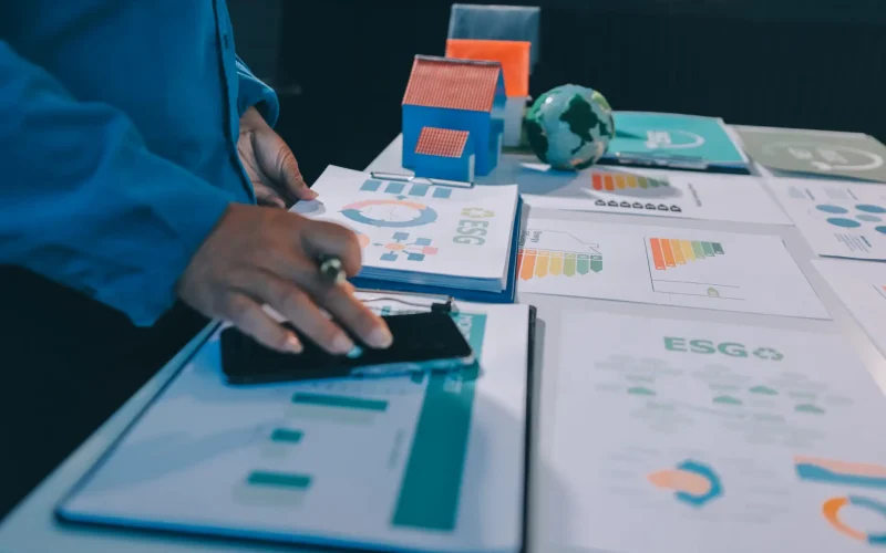 Micro Green Energy Ltd - Energy Efficiency Report